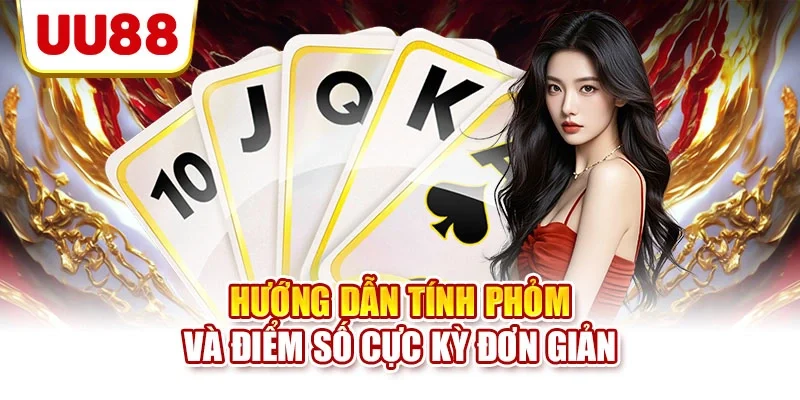 Hướng dẫn tính phỏm và điểm số cực kỳ đơn giản